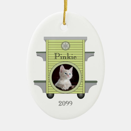 Kitten Cat Upload Foto Cat House Metal Ornament (Voorkant)