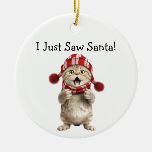 Kitten Christmas Fun Cat Ornament (Voorkant)