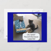 Kitten Christmas Surprise Briefkaart (Voorkant / Achterkant)