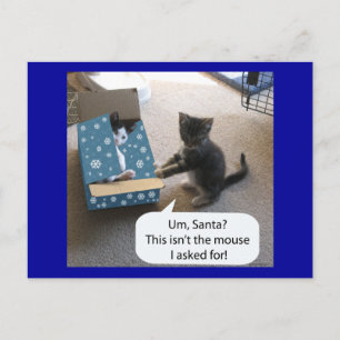 Kitten Christmas Surprise Briefkaart