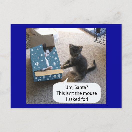 Kitten Christmas Surprise Briefkaart (Voorkant)