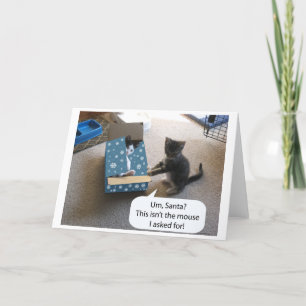 Kitten Christmas Surprise (lege binnenkant) kaart
