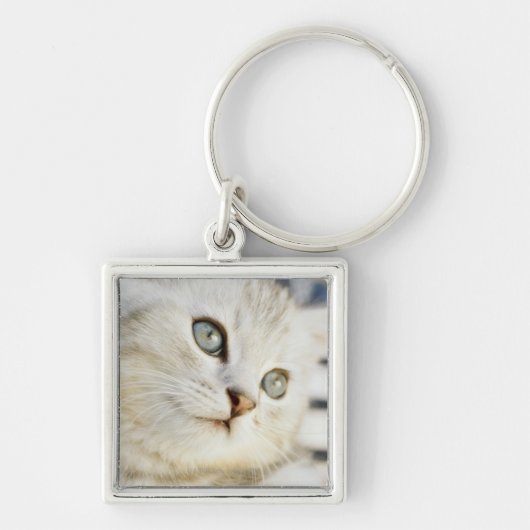 Kitten, close-up 2 sleutelhanger (Voorkant)