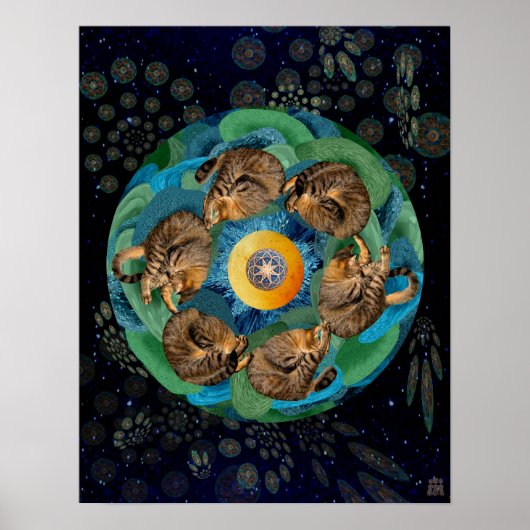 Kitten Cosmos (Felis catus nebula) Poster (Voorkant)