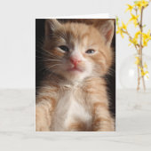 Kitten Cuteness Kaart (Gele Bloem)