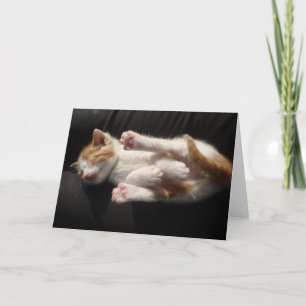 Kitten Cuteness Kaart