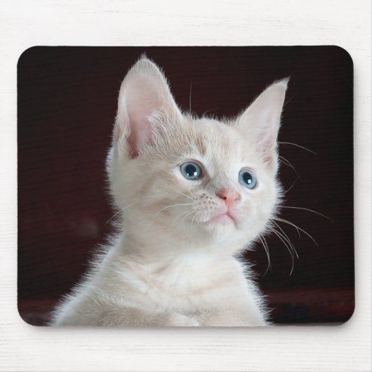 Kitten Cutie Muismat (Voorkant)