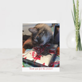 Kitten Dank u opmerking Bedankkaart