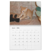 Kitten Dax 2011 Kalender (Mar 2026)