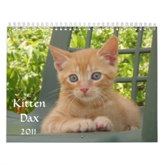 Kitten Dax 2011 Kalender