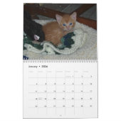 Kitten Dax 2011 Kalender (Jan 2026)