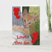 Kitten Dax Liefde Kaart (Voorkant)