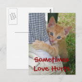Kitten Dax Love Hurts Briefkaart (Voorkant / Achterkant)