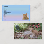 Kitten Dax-profielkaart Visitekaartje (Voorkant / Achterkant)