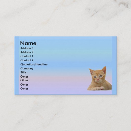 Kitten Dax-profielkaart Visitekaartje (Voorkant)