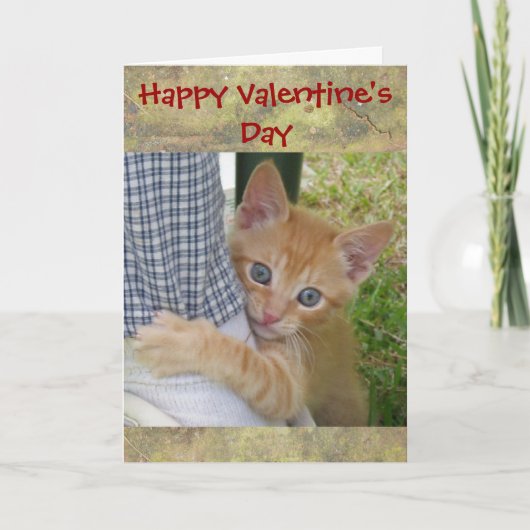 Kitten Dax Valentijn Kaart (Voorkant)