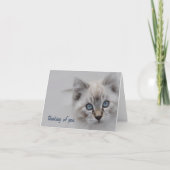 Kitten denken aan je Kaart - (Voorkant)