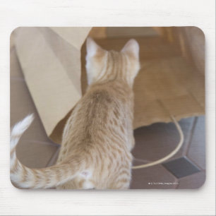 Kitten die naar de afgrond van een tas kijken muismat
