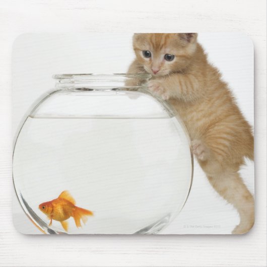 Kitten die op een goudvis probeert te komen muismat (Voorkant)