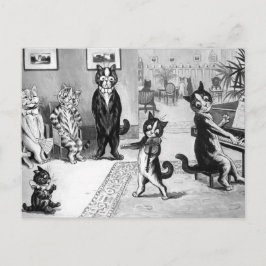 Kitten Een overweging geven Briefkaart