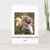Kitten en Baby Chick Kaart (Achterkant)