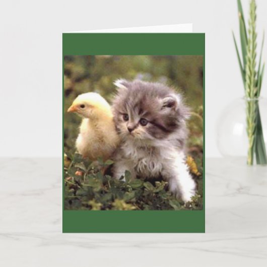 Kitten en Baby Chick Kaart (Voorkant)