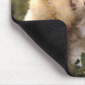 Kitten en Baby Chick Muismat (Hoek)