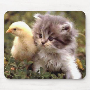 Kitten en Baby Chick Muismat