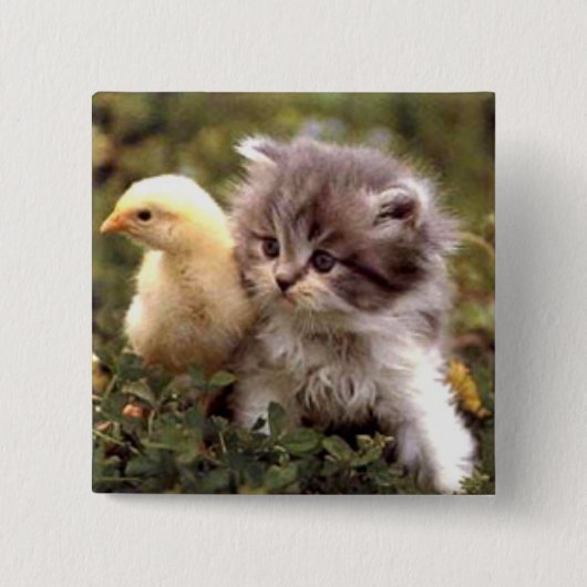 Kitten en Baby Chick Vierkante Button 5,1 Cm (Voorkant)