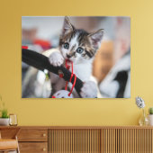 Kitten en bal canvas afdruk (Insitu (Woonkamer))