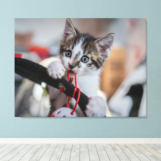 Kitten en bal canvas afdruk (Insitu (Houten vloer))