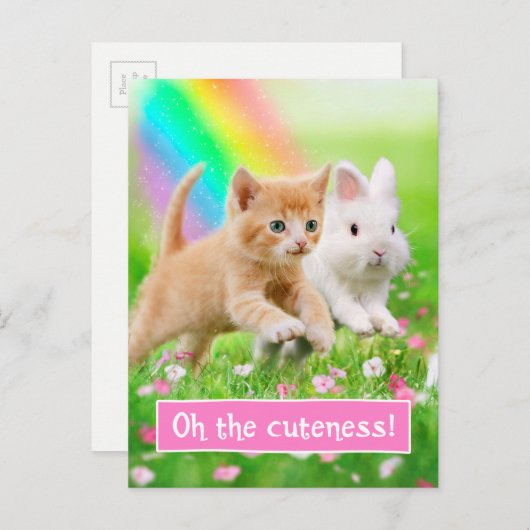Kitten en Bunny met regenboog Briefkaart (Voorkant / Achterkant)