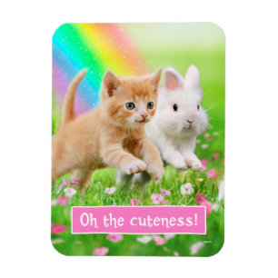 Kitten en Bunny met regenboog Magneet