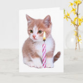 Kitten en een roze kaars kaart (Gele Bloem)