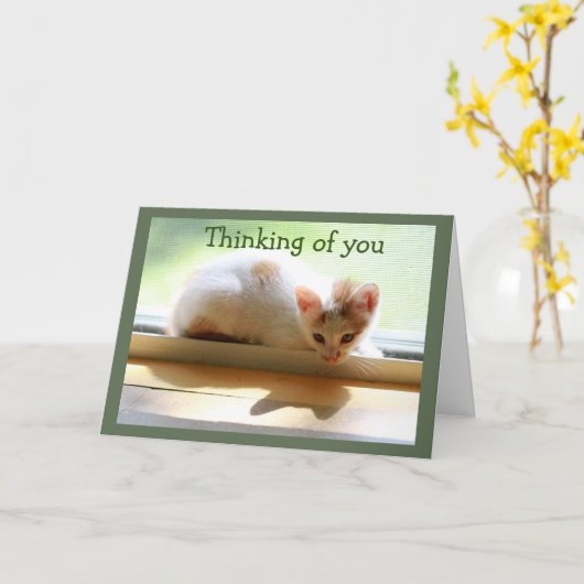 Kitten en haar schaduw in het zonnige raam kaart (Gele Bloem)