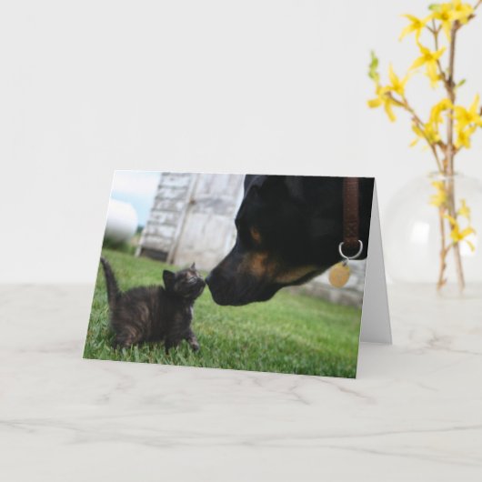 Kitten en hond aanmoediging wenskaart kaart (Gele Bloem)