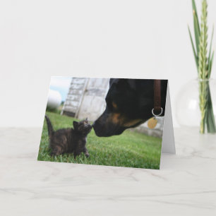 Kitten en hond aanmoediging wenskaart kaart