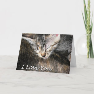Kitten en kat Ik hou van je Kaart