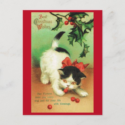 Kitten en Kerstmis Holly Briefkaart (Voorkant)