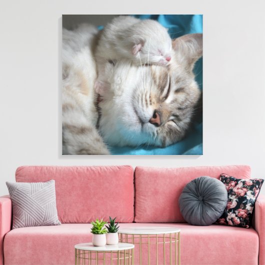 Kitten en moeder canvas afdruk (Insitu (Woonkamer))