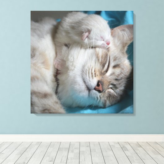 Kitten en moeder canvas afdruk (Insitu (Houten vloer))
