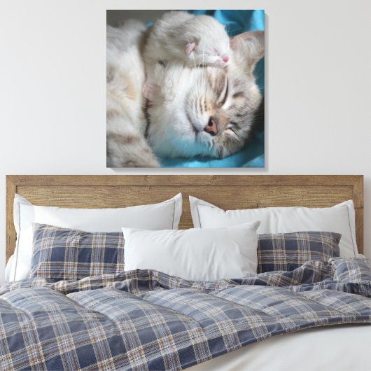 Kitten en moeder canvas afdruk (Insitu (Slaapkamer))