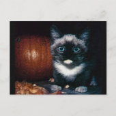 Kitten en pompoen voor Halloween Briefkaart (Voorkant)