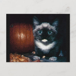 Kitten en pompoen voor Halloween Briefkaart