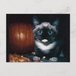 Kitten en Pompoen voor Halloween Briefkaart