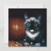 Kitten en pompoen voor Halloween Kaart (Voorkant)