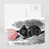 Kitten en Roze Yarn Briefkaart (Voorkant / Achterkant)