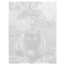 Kitten en Spiderweb Grijswaarden Kleurplaat