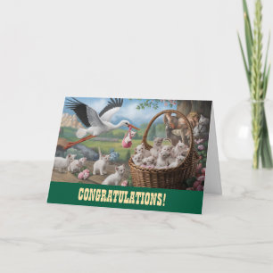 Kitten en Stork New Baby Gefeliciteerd Kaart