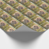 Kitten en vlinder in weide cadeaupapier (Hoek)